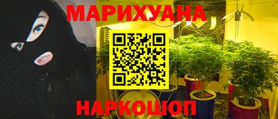 прущие грибы Туймазы