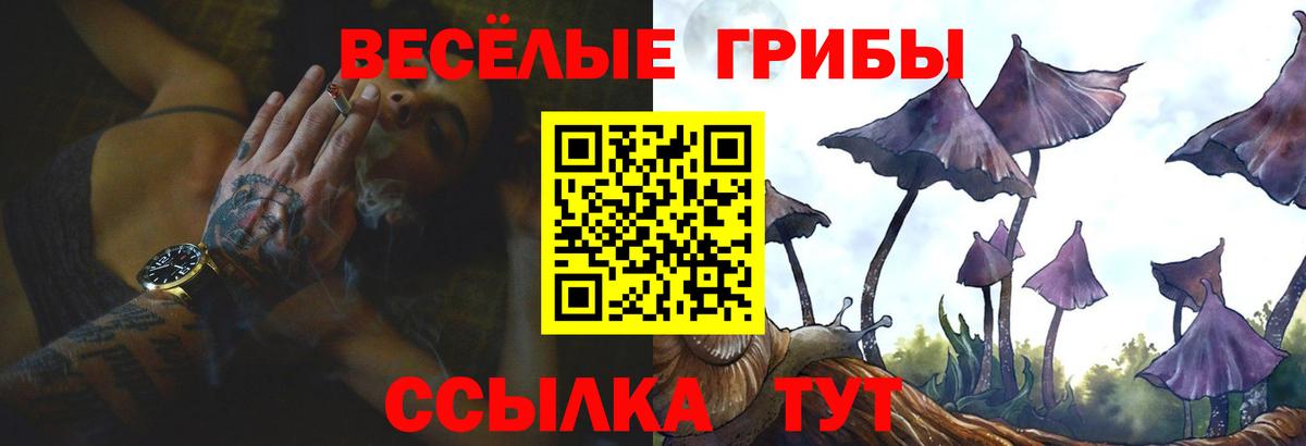 Заводоуковск  Галлюциногенные грибы Cubensis  Вход с VPN 